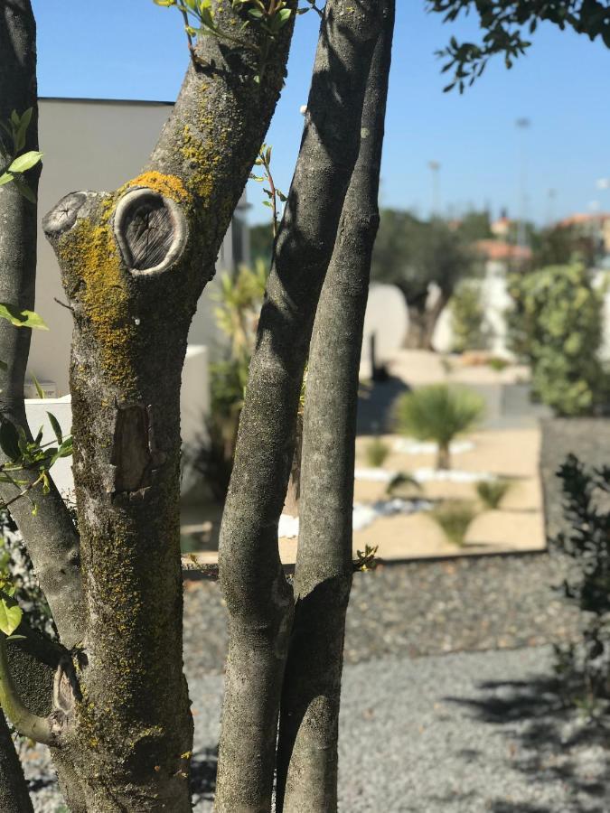 L'Oasis Vendargues Bed & Breakfast ภายนอก รูปภาพ